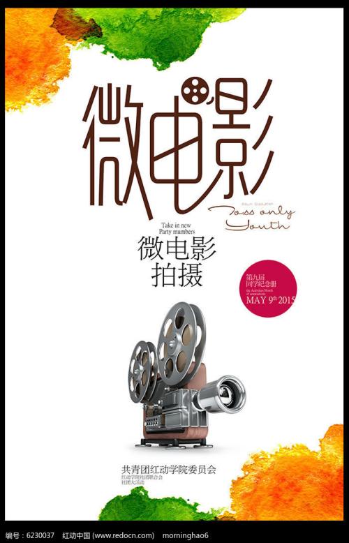 cfa猫咪证书官网